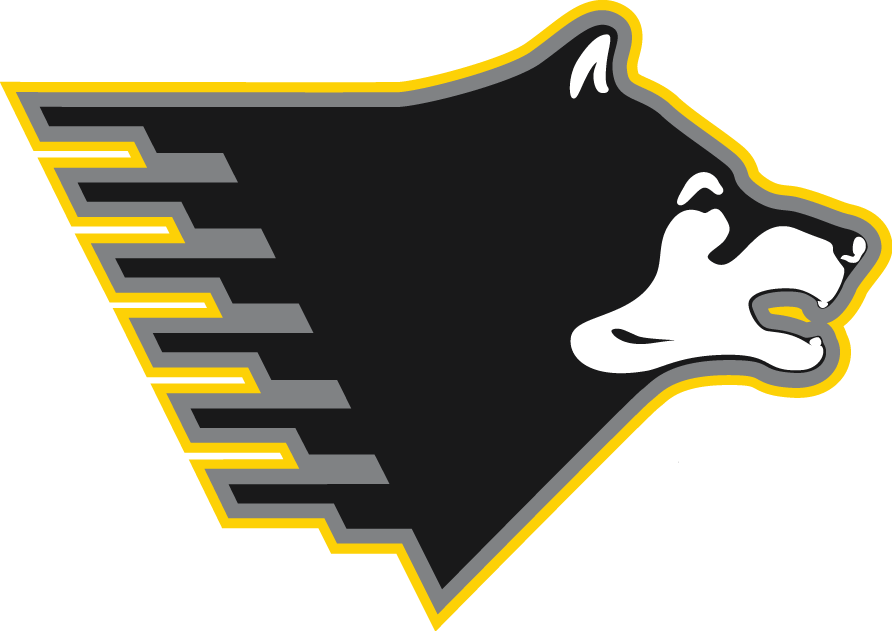 Michigan Tech Huskies 2005-Pres Partial Logo t shirts DIY iron ons